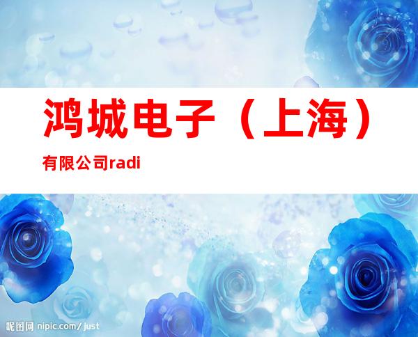 鸿城电子（上海）有限公司 radiance electronics（shanghai）co.ltd.