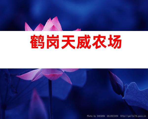 鹤岗天威农场