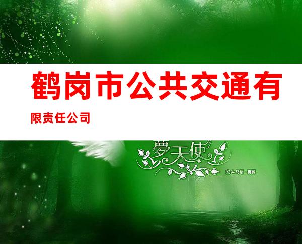 鹤岗市公共交通有限责任公司