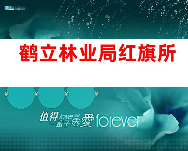 鹤立林业局红旗所