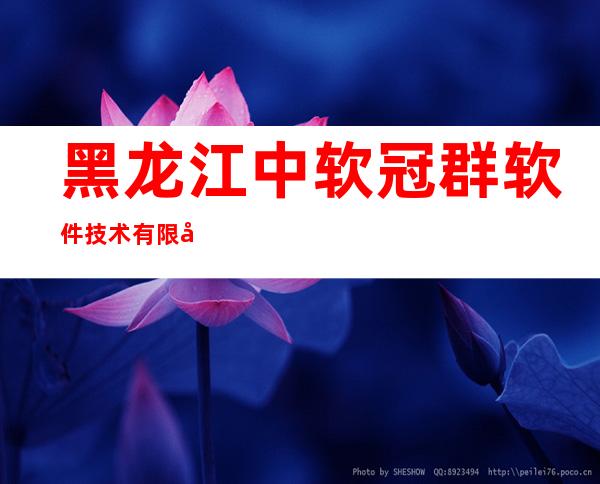 黑龙江中软冠群软件技术有限公司