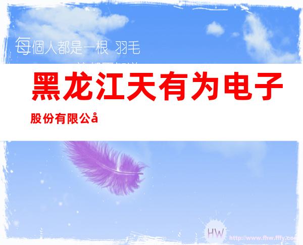 黑龙江天有为电子股份有限公司哈尔滨分公司