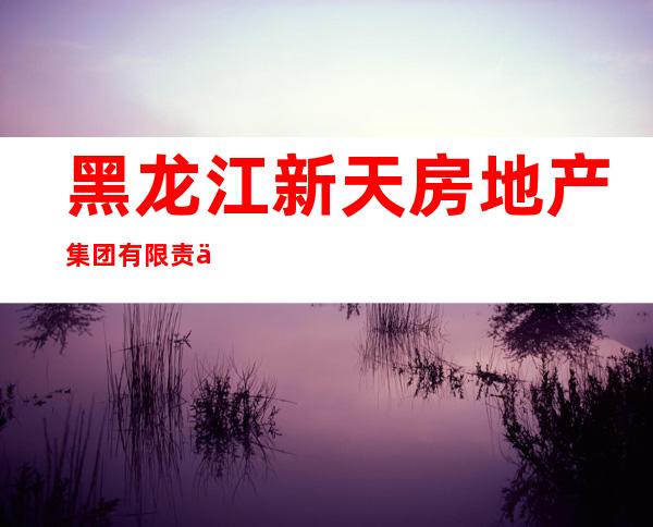 黑龙江新天房地产集团有限责任公司工商用房经营管理分公司
