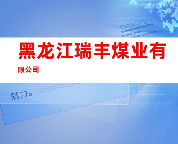 黑龙江瑞丰煤业有限公司