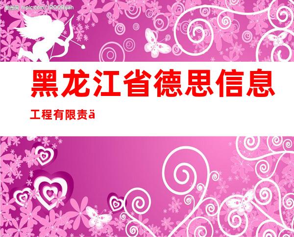 黑龙江省德思信息工程有限责任公司