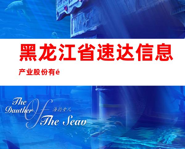 黑龙江省速达信息产业股份有限公司