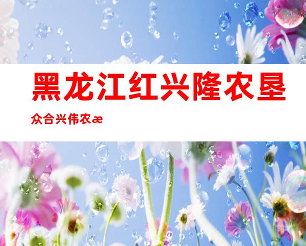 黑龙江红兴隆农垦众合兴伟农机专业合作社