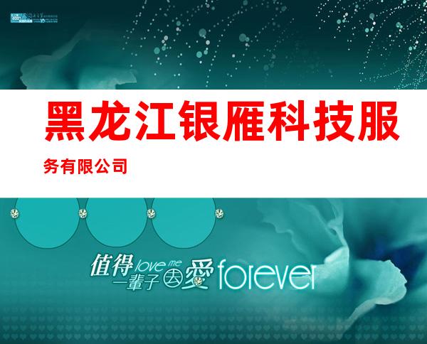 黑龙江银雁科技服务有限公司
