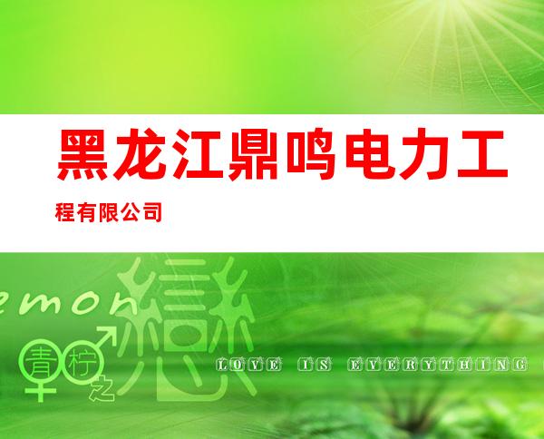 黑龙江鼎鸣电力工程有限公司
