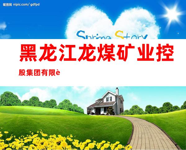 黑龙江龙煤矿业控股集团有限责任公司