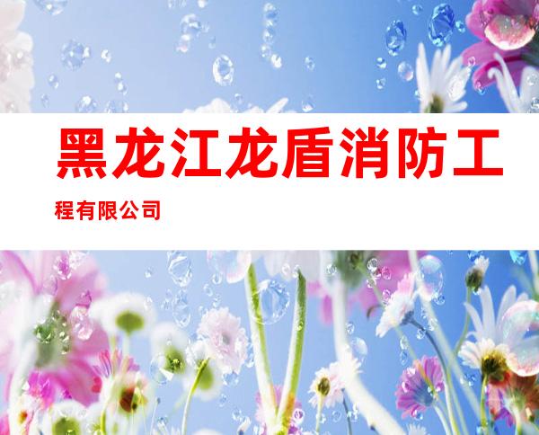 黑龙江龙盾消防工程有限公司