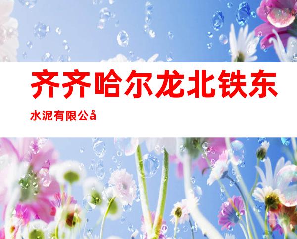 齐齐哈尔龙北铁东水泥有限公司