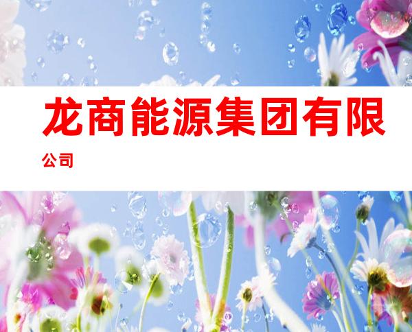 龙商能源集团有限公司