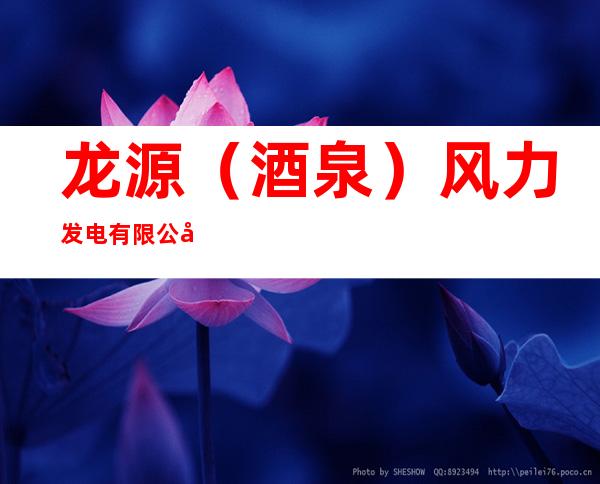 龙源(酒泉)风力发电有限公司肃北分公司