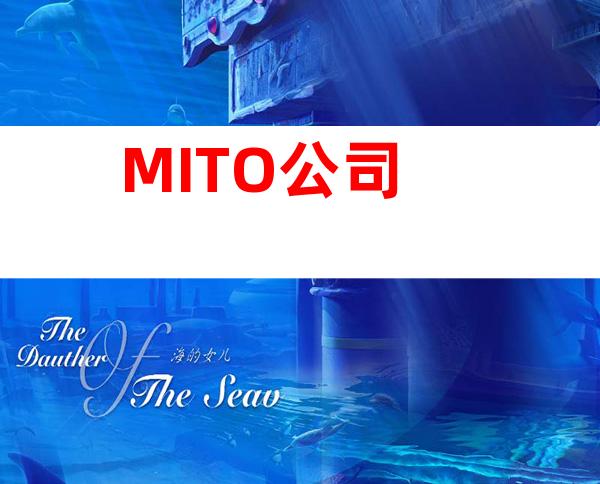 MITO公司